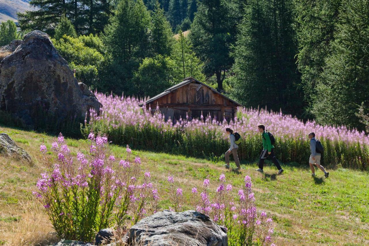 Chalet Carpe Diem La Bâtie-Neuve Exteriér fotografie